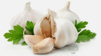 Fungus garlic